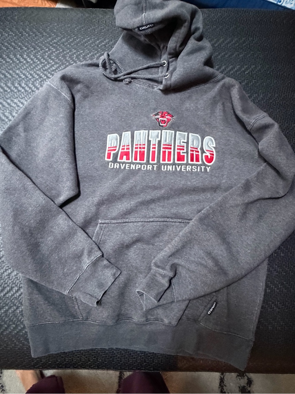 Panthers Men's Gray Hooded Sweatshirt